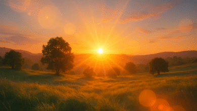 photeeq lens flare